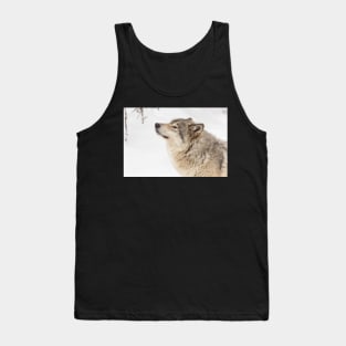 Timber wolf in winter Tank Top